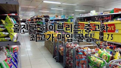 울진군 하이브리드 중고차 최고가 매입 꿀팁🍯